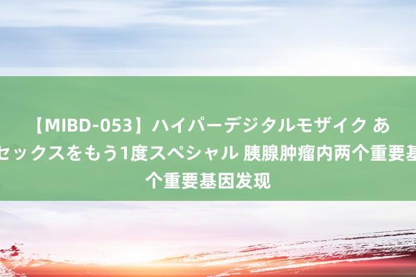 【MIBD-053】ハイパーデジタルモザイク あの娘のセックスをもう1度スペシャル 胰腺肿瘤内两个重要基因发现