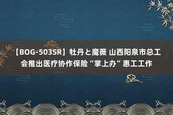 【BOG-503SR】牡丹と魔薇 山西阳泉市总工会推出医疗协作保险“掌上办”惠工工作