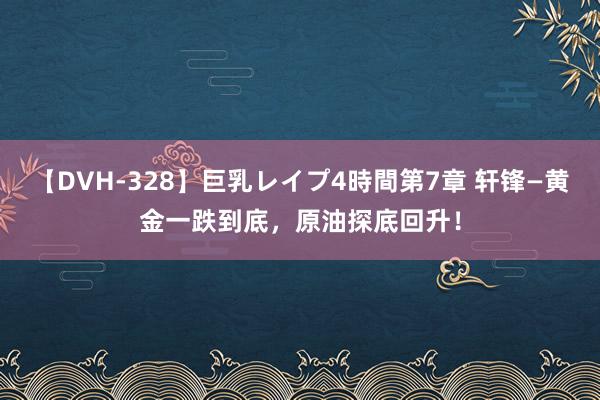 【DVH-328】巨乳レイプ4時間第7章 轩锋—黄金一跌到底，原油探底回升！