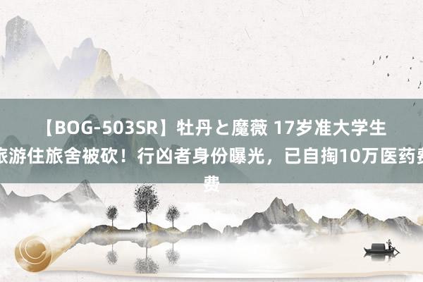 【BOG-503SR】牡丹と魔薇 17岁准大学生旅游住旅舍被砍！行凶者身份曝光，已自掏10万医药费