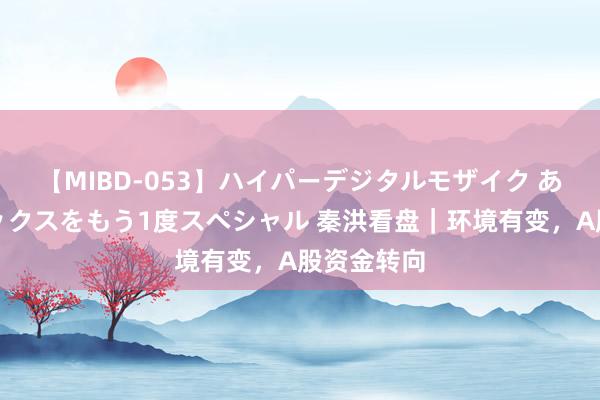 【MIBD-053】ハイパーデジタルモザイク あの娘のセックスをもう1度スペシャル 秦洪看盘｜环境有变，A股资金转向