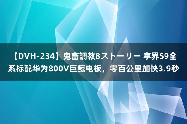 【DVH-234】鬼畜調教8ストーリー 享界S9全系标配华为800V巨鲸电板，零百公里加快3.9秒