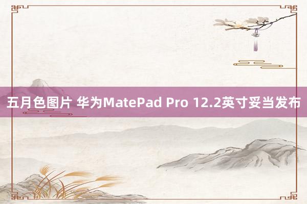 五月色图片 华为MatePad Pro 12.2英寸妥当发布