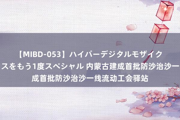 【MIBD-053】ハイパーデジタルモザイク あの娘のセックスをもう1度スペシャル 内蒙古建成首批防沙治沙一线流动工会驿站