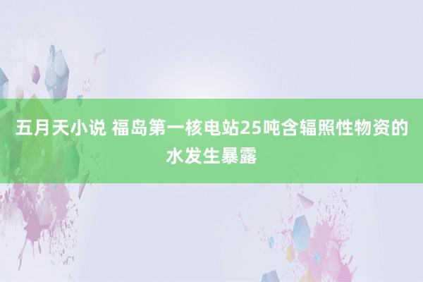 五月天小说 福岛第一核电站25吨含辐照性物资的水发生暴露