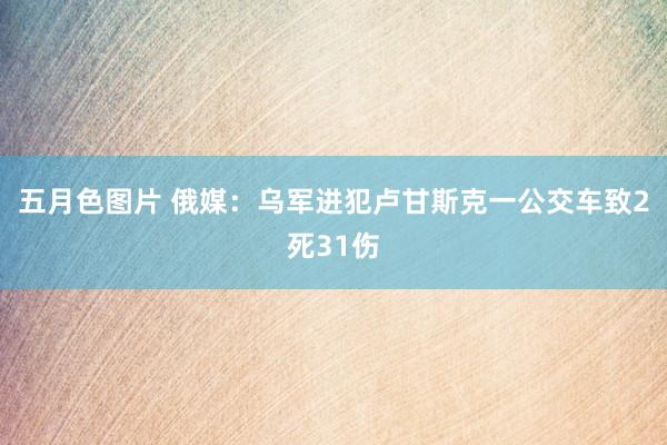 五月色图片 俄媒：乌军进犯卢甘斯克一公交车致2死31伤