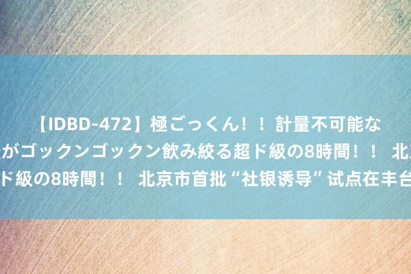 【IDBD-472】極ごっくん！！計量不可能な爆量ザーメンをS級女優がゴックンゴックン飲み絞る超ド級の8時間！！ 北京市首批“社银诱导”试点在丰台览动