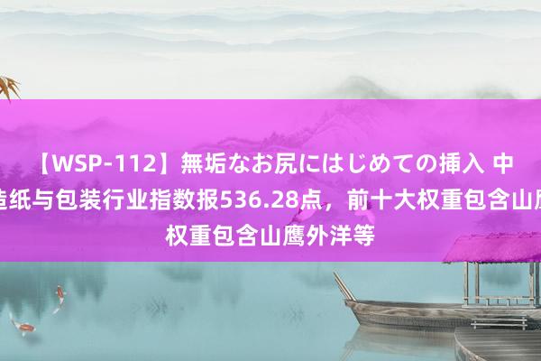 【WSP-112】無垢なお尻にはじめての挿入 中证全指造纸与包装行业指数报536.28点，前十大权重包含山鹰外洋等