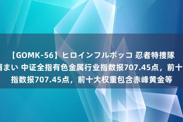 【GOMK-56】ヒロインフルボッコ 忍者特捜隊バードファイター 三浦まい 中证全指有色金属行业指数报707.45点，前十大权重包含赤峰黄金等