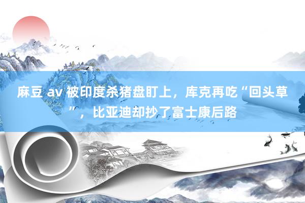 麻豆 av 被印度杀猪盘盯上，库克再吃“回头草”，比亚迪却抄了富士康后路