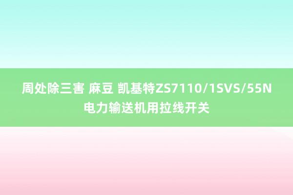 周处除三害 麻豆 凯基特ZS7110/1SVS/55N电力输送机用拉线开关