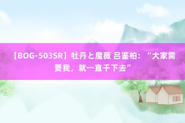 【BOG-503SR】牡丹と魔薇 吕鉴柏：“大家需要我，就一直干下去”