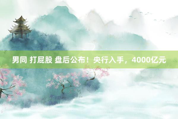 男同 打屁股 盘后公布！央行入手，4000亿元