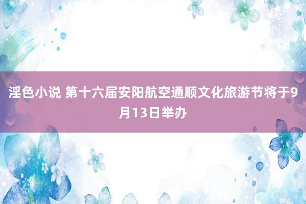 淫色小说 第十六届安阳航空通顺文化旅游节将于9月13日举办