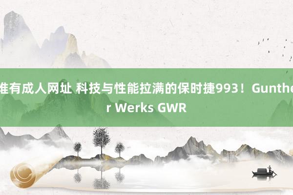 谁有成人网址 科技与性能拉满的保时捷993！Gunther Werks GWR