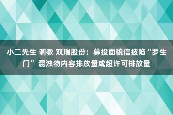 小二先生 调教 双瑞股份：募投面貌信披陷“罗生门” 混浊物内容排放量或超许可排放量